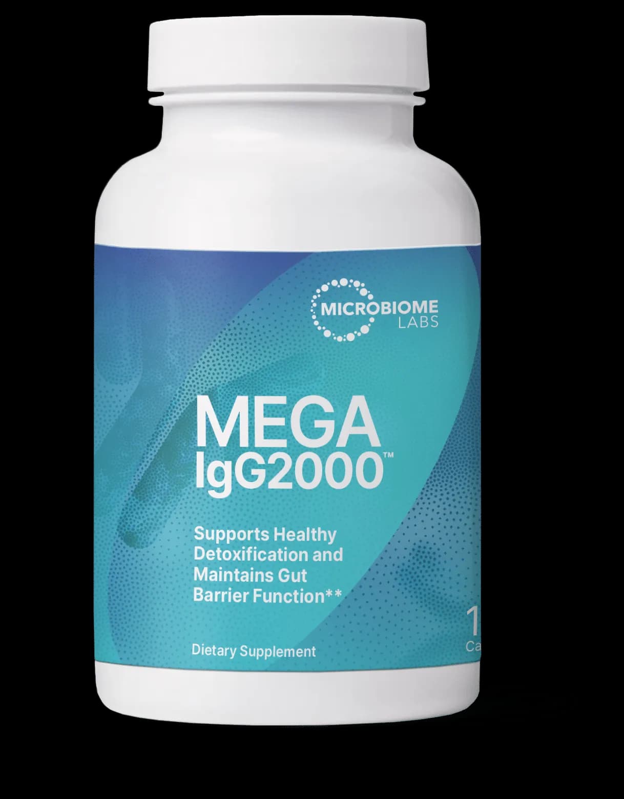 Can MegalgG2000 Support Gut Barrier Function and Immune Balance in Long COVID and ME/CFS?