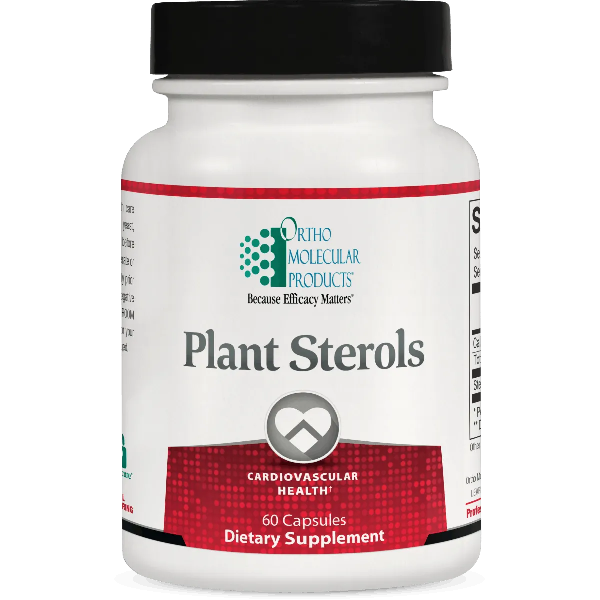 Can Plant Sterols Support Healthy Cholesterol Levels After Long COVID?