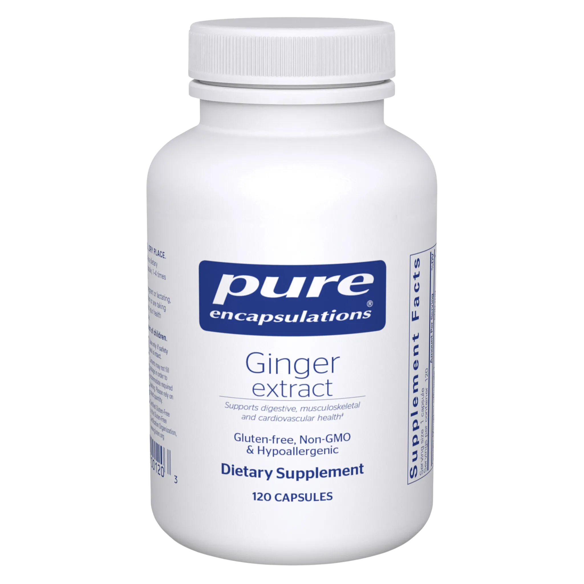Can Ginger Extract Support Digestion and Circulation in Long COVID and Dysautonomia?