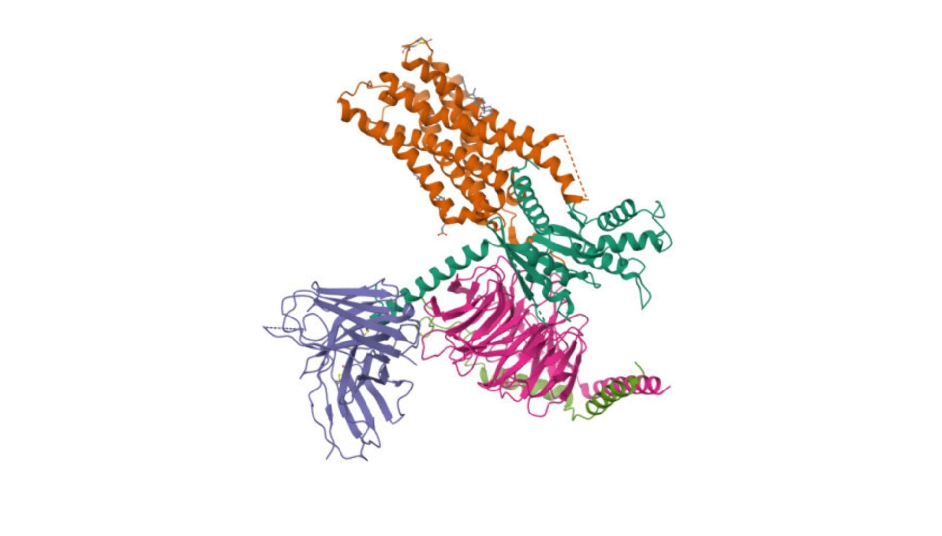 Muscarinic cholinergic receptor (M1R) autoantibody