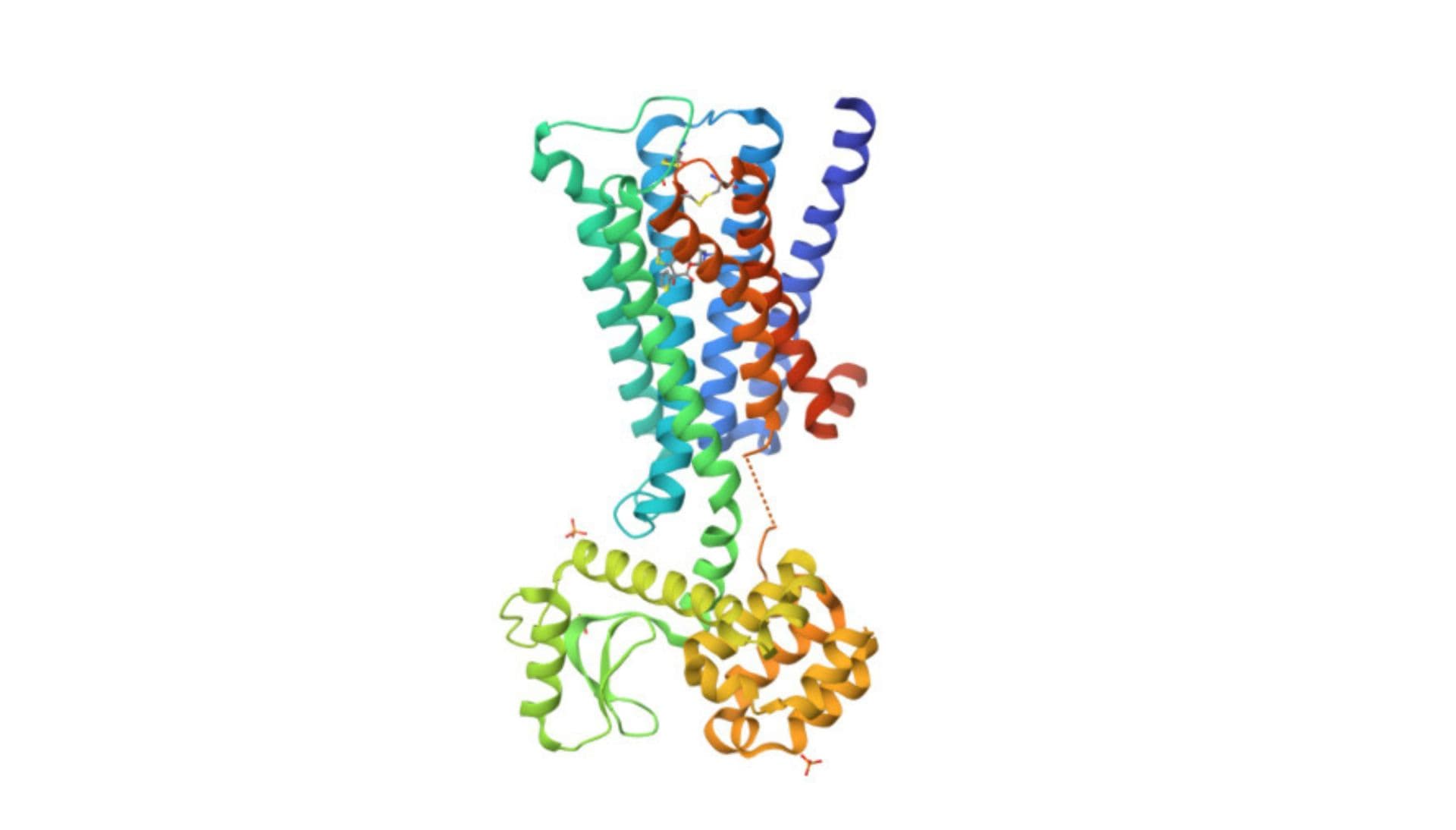 Muscarinic cholinergic receptor (M3R) autoantibody
